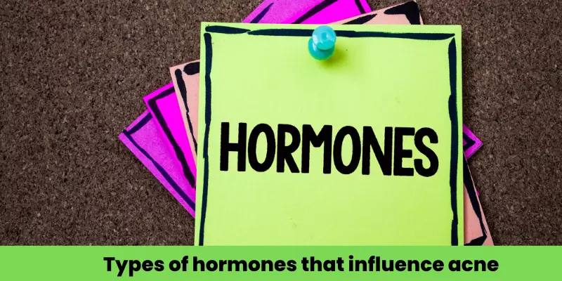 Types of hormones that influence acne