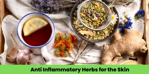 Anti Inflammatory Herbs for the Skin