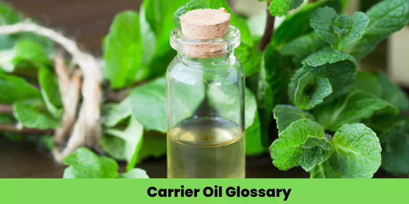 Carrier Oil Glossary