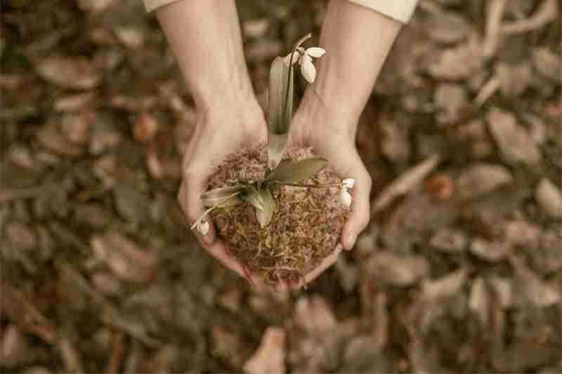 Certification of Natural Beauty Products