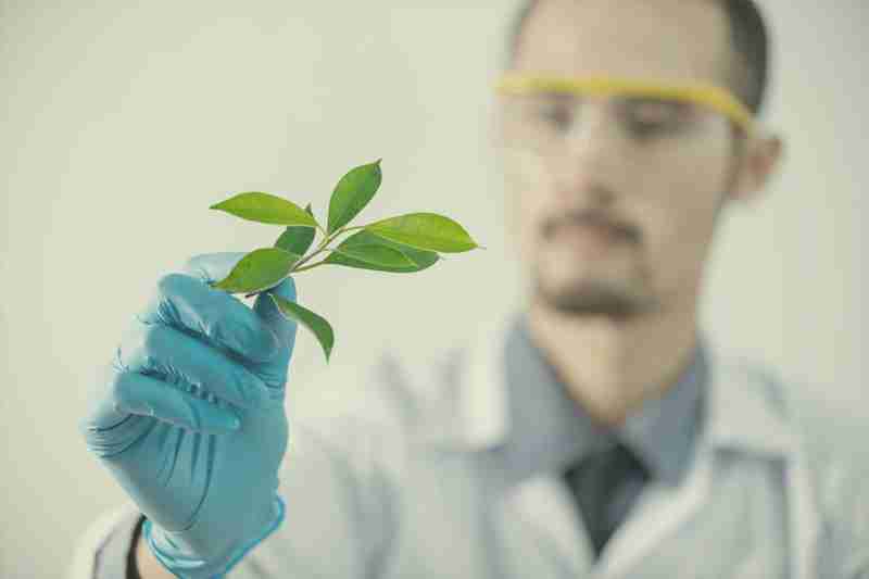 Organic, natural skin care. Should we believe the hype?
